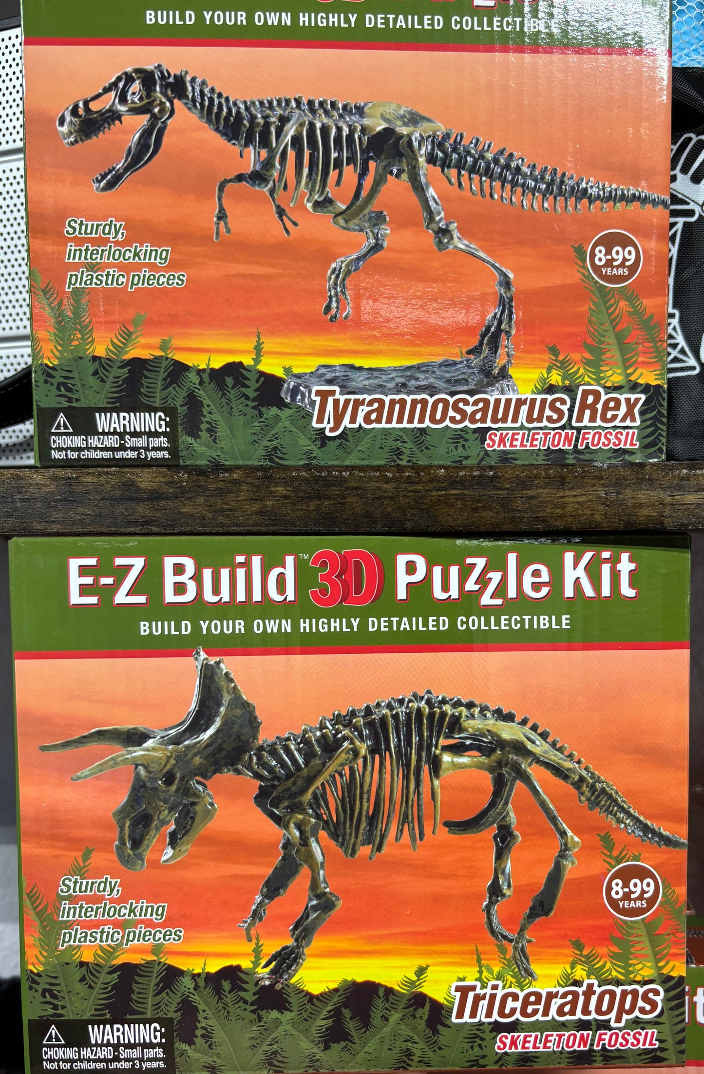 $10 Item (3-D Dinosaur Puzzle)